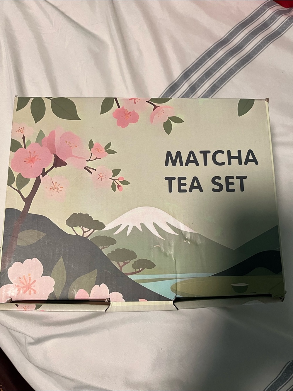 Matcha Tea Set Decorative Gift Box - Green & Pink